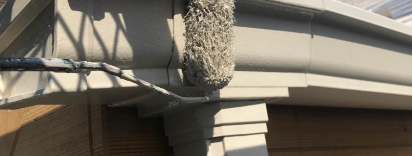 葛飾区新小岩で、ローラーを使って雨樋に上塗り塗装を施している様子