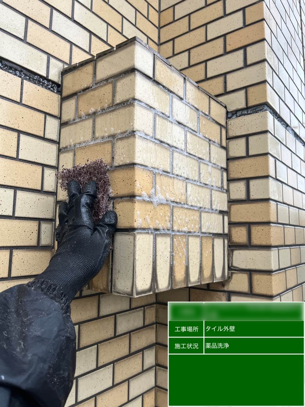 東京都北区西ヶ原 Nビル タイル外壁 薬品洗浄 ブラッシング作業