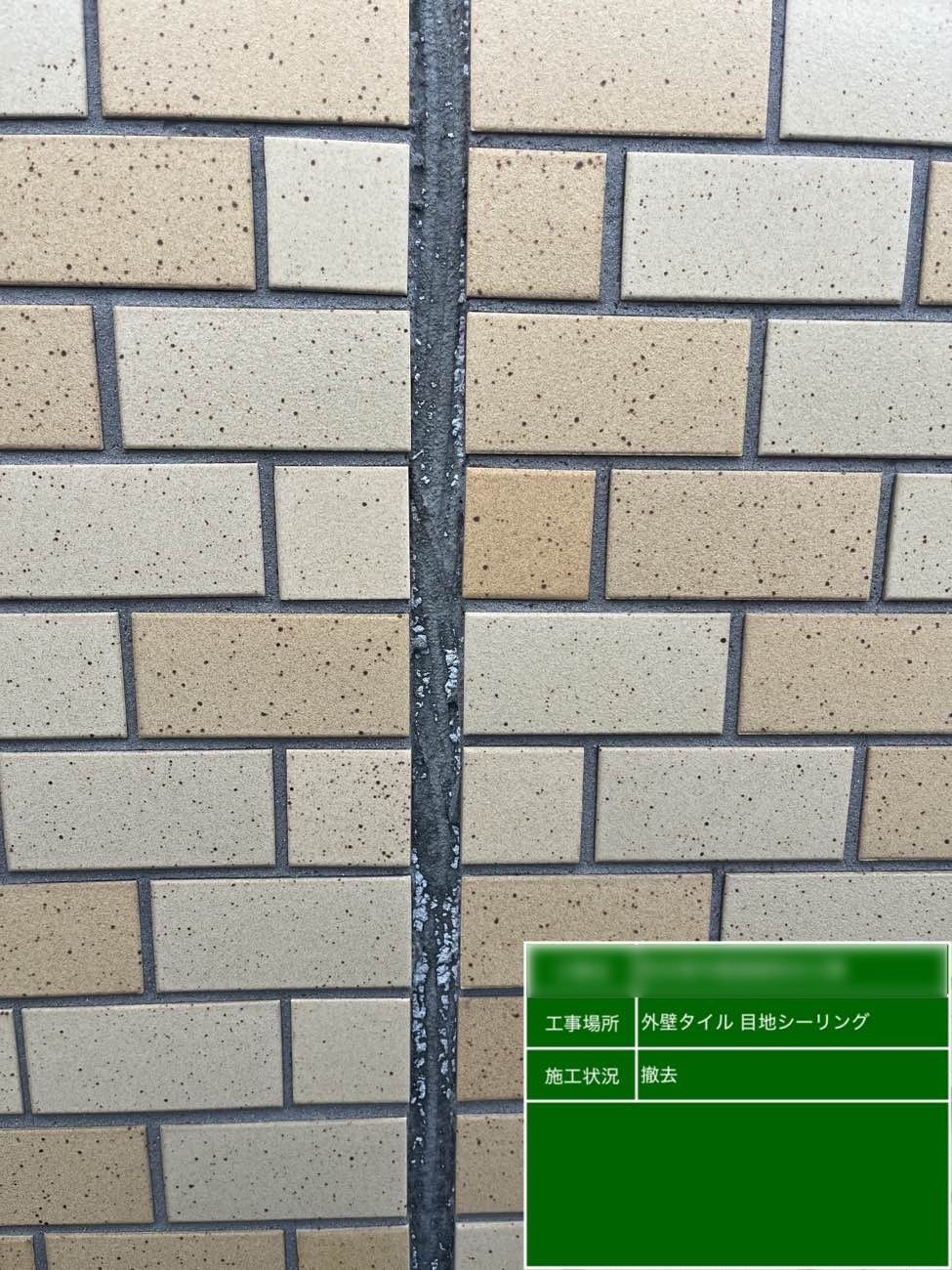 東京都北区西ヶ原 Nビル 外壁タイル目地シーリング打ち替え 既存シーリング撤去後