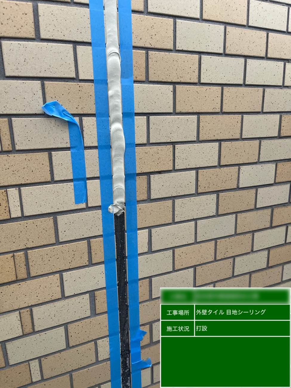 東京都北区西ヶ原 Nビル 外壁タイル目地シーリング打ち替え シーリング打設状況 1